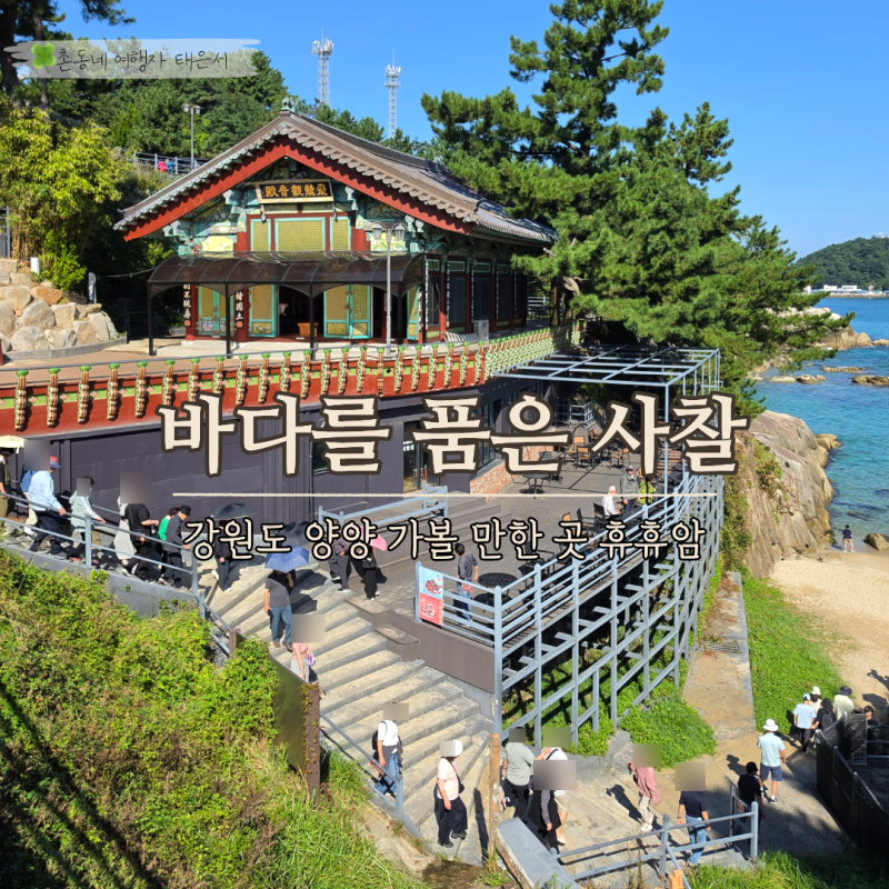 바다를 품은 사찰! 양양 가볼 만한 곳 휴휴암 가는법, 연화법당 물고기 먹이주기와 방문 꿀팁