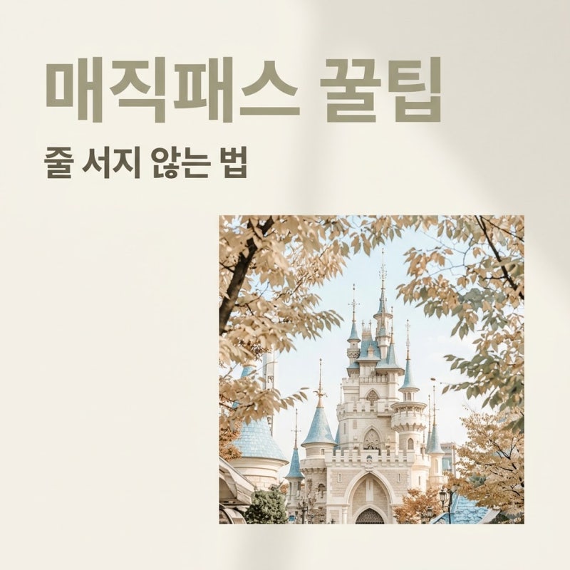 2시간 대기도 거뜬?.. 롯데월드매직패스 가격 보고 결국 포기하려다 알게 된 사실