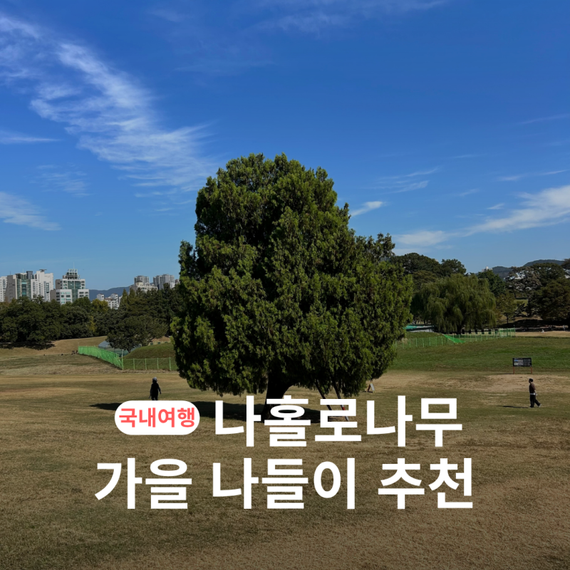 서울 가을 나들이 추천, 올림픽공원 나홀로나무 부모님 맞춤 산책 코스