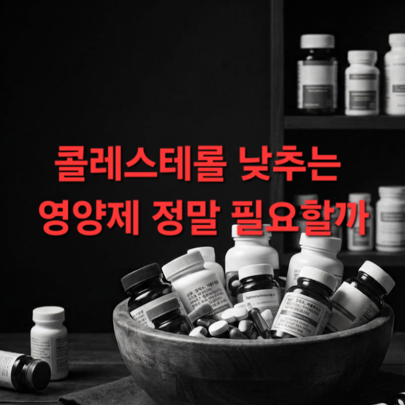 콜레스테롤 낮추는 영양제 정말 필요할까?꼭 알아야 할 기준