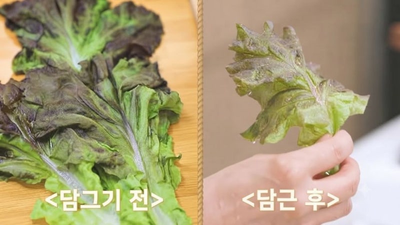 쌈채소 소생술 시들해진 상추,깻잎되살리는법, 신선하게 하는 보관법