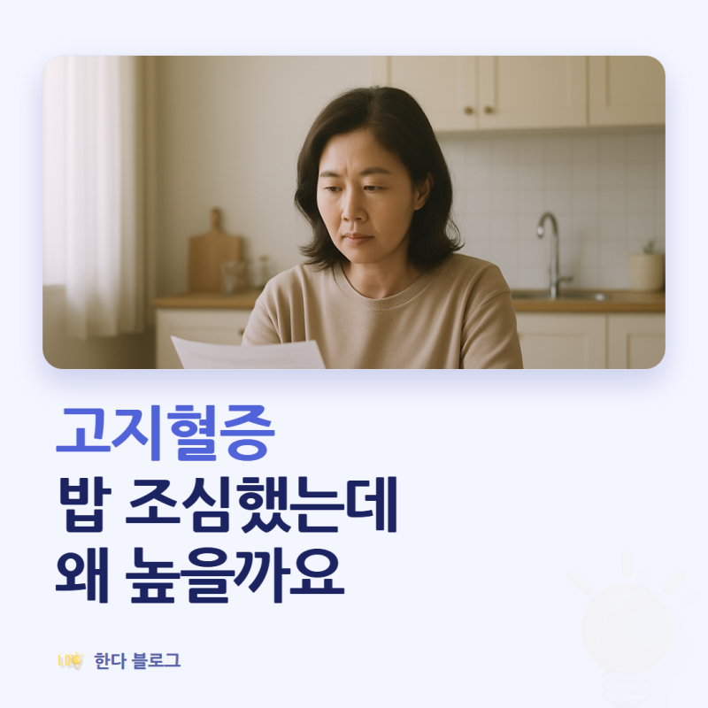 고지혈증 원인, 식습관 때문인가요 (유전·폐경·갑상선 질환까지 · 2026년)