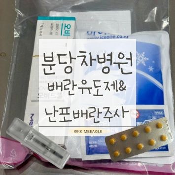임신준비 | 분당 차병원 배란유도제 페라마정·난포배란주사 오비드렐리퀴드주 인공수정 준....