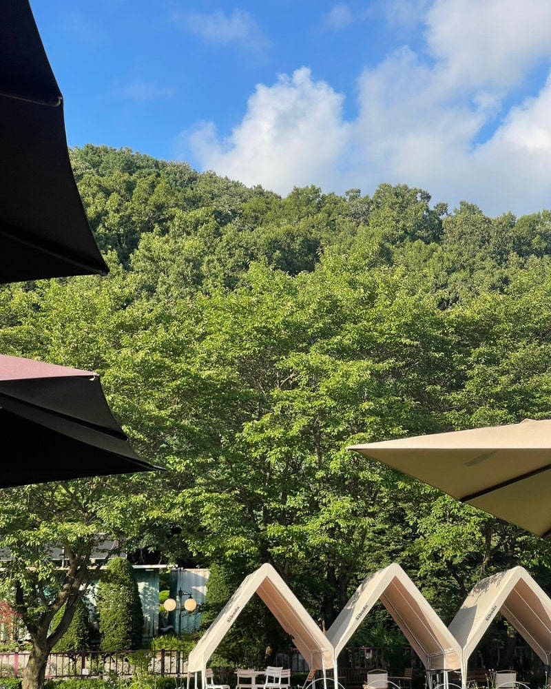 Sayusaek, a Large Cafe and Photo Spot in Pocheon That Changes with the Seasons