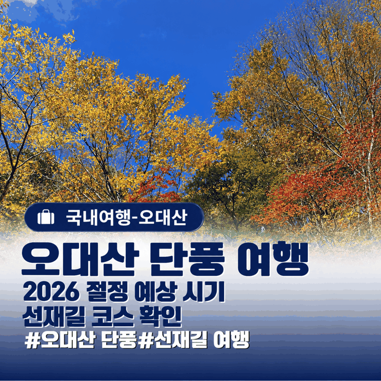 오대산 단풍 절정 시기, 선재길 나들이 날짜와 코스 함께 골라요