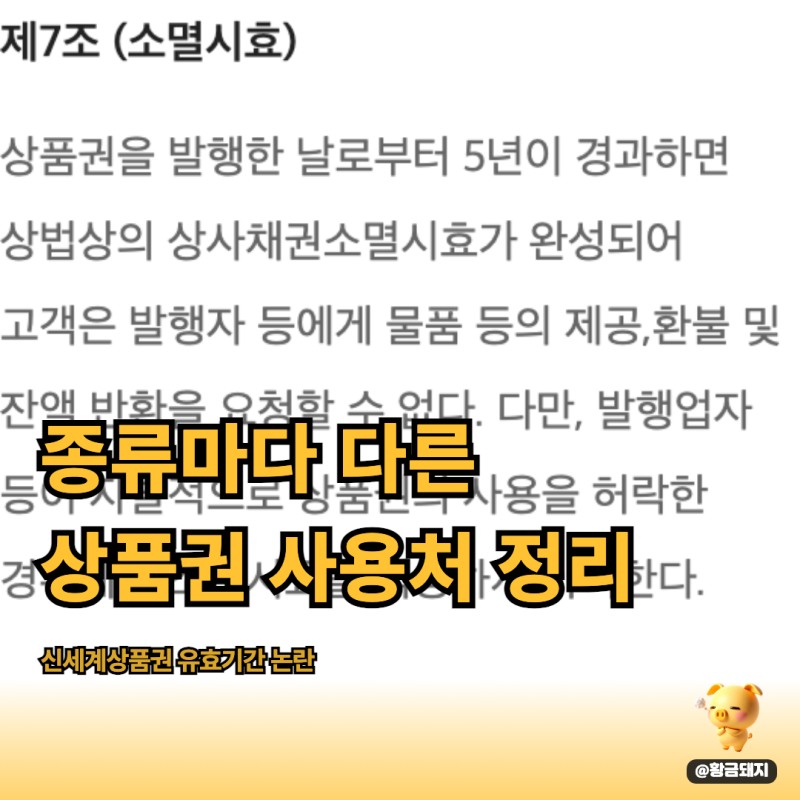신세계상품권 온라인 사용처, SSG 쓱페이와 다른 점은 뭘까?