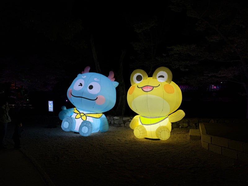 양산 통도사 미디어아트 메밀밭 주차 꿀팁