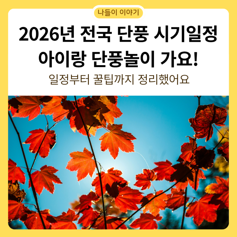 2026 전국 단풍 시기 총정리! 아이랑 단풍놀이-서울 경기 근교