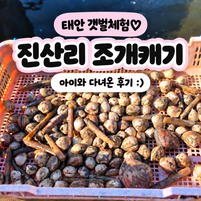 Taean Jinsan-ri Tidal Flat Experience Center: Two-Day Review of Clam and Razor Clam Digging with Kids