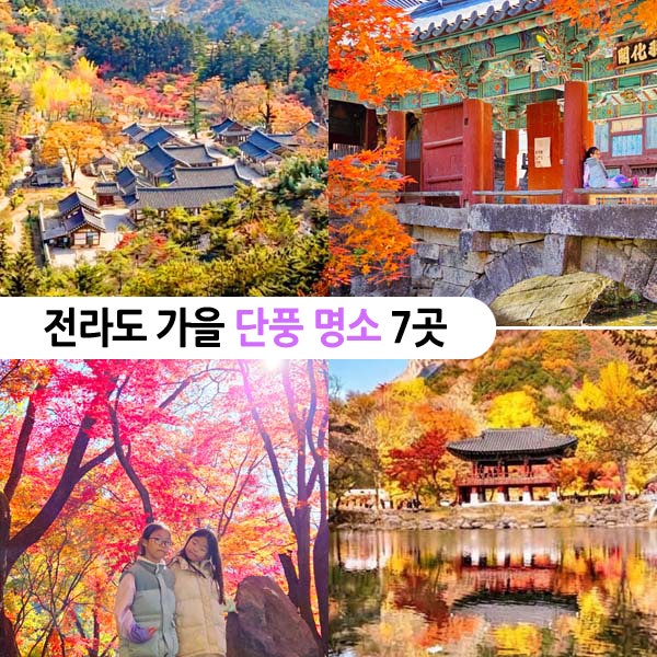 전라도 가을 단풍 명소 전남 전북 여행지 추천, 내장산 내소사 선운사 송광사 백양사 강천사