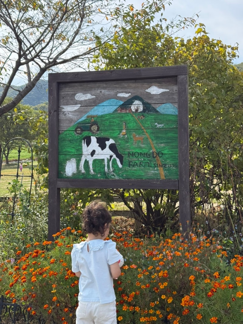 5살 아이와 용인 농도원목장 후기｜예약 취소표·체험 프로그램·준비물