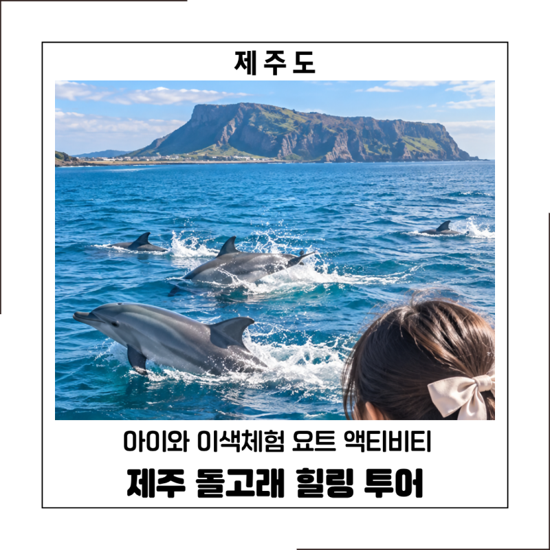 제주돌고래힐링투어 제주 돌고래 보트투어 아이와 이색체험 요트 액티비티