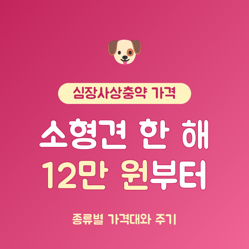 강아지 심장사상충약 가격 총정리, 소형견 연 12만~24만 원