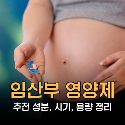 임산부 영양제 추천 비타민D, 오메가3, 철분 등 5가지 복용시기는?ㅣ망고의 성분도감