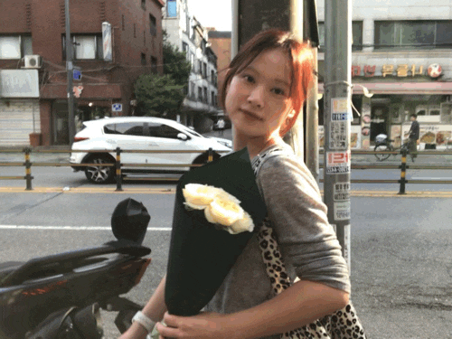 조금씩 모아본 내 여름