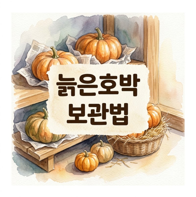 늙은호박 보관법 직접 겪고 터득한 3가지 꿀팁