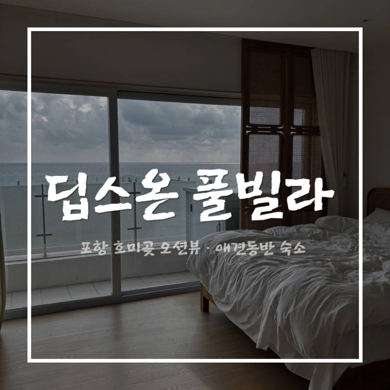 포항 호미곶 딥스온 풀빌라 | 오션뷰 애견동반 숙소 가족여행