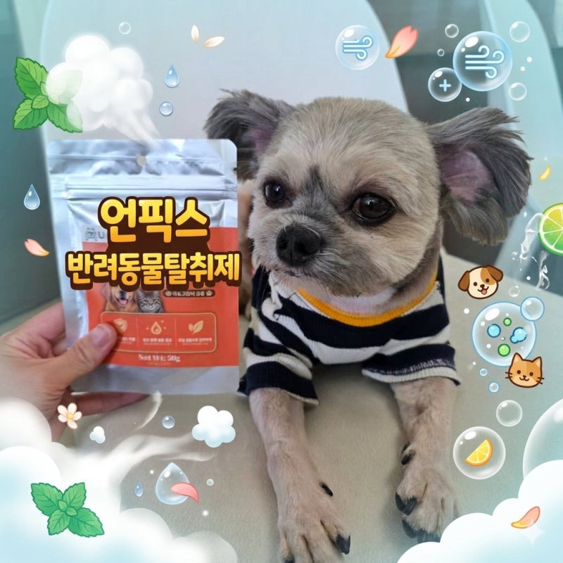 [강아지탈취제] 안방 배변 냄새 완벽 차단, 언픽스 가루형 반려동물탈취제 솔직후기