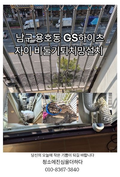 부산 남구 용호동 실외기실 비둘기똥제거 gs하이츠자이 비둘기퇴치망설치