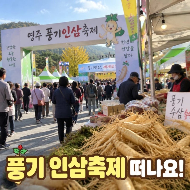 풍기 인삼축제 주차 및 기간 즐길거리
