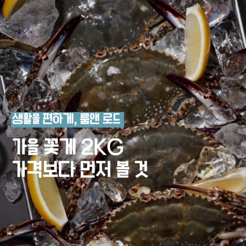 가을 꽃게 제철, 숫게 2kg 살 때 가격보다 먼저 볼 것