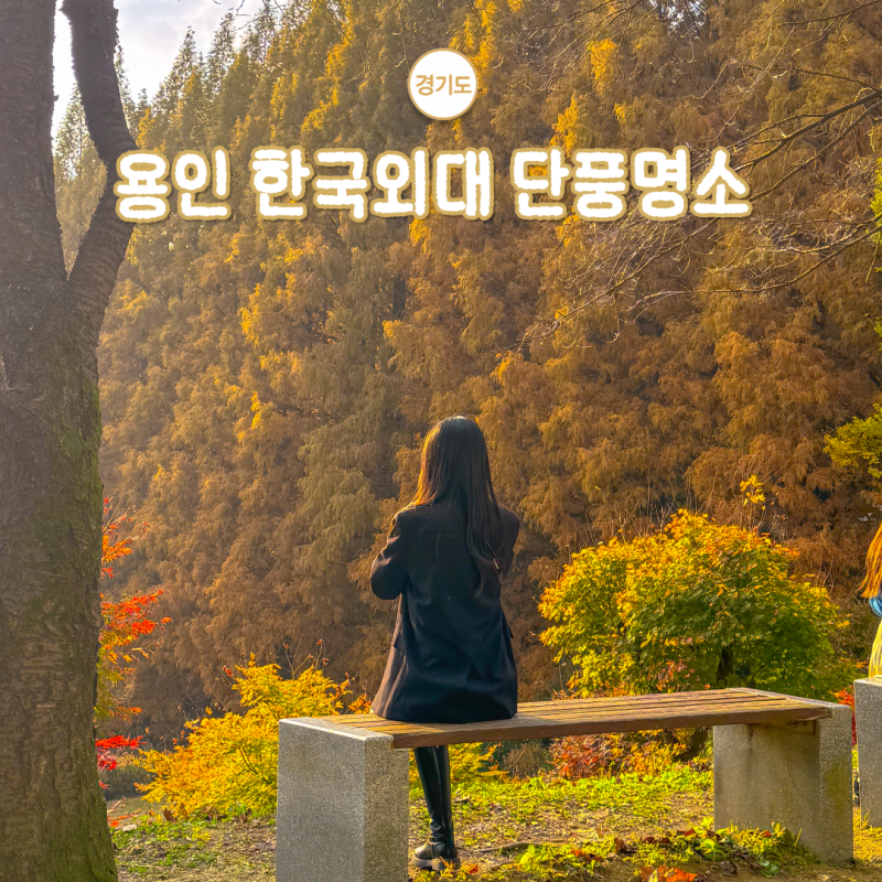 경기도 용인 10월 단풍 명소 한국의 캐나다는 어디?