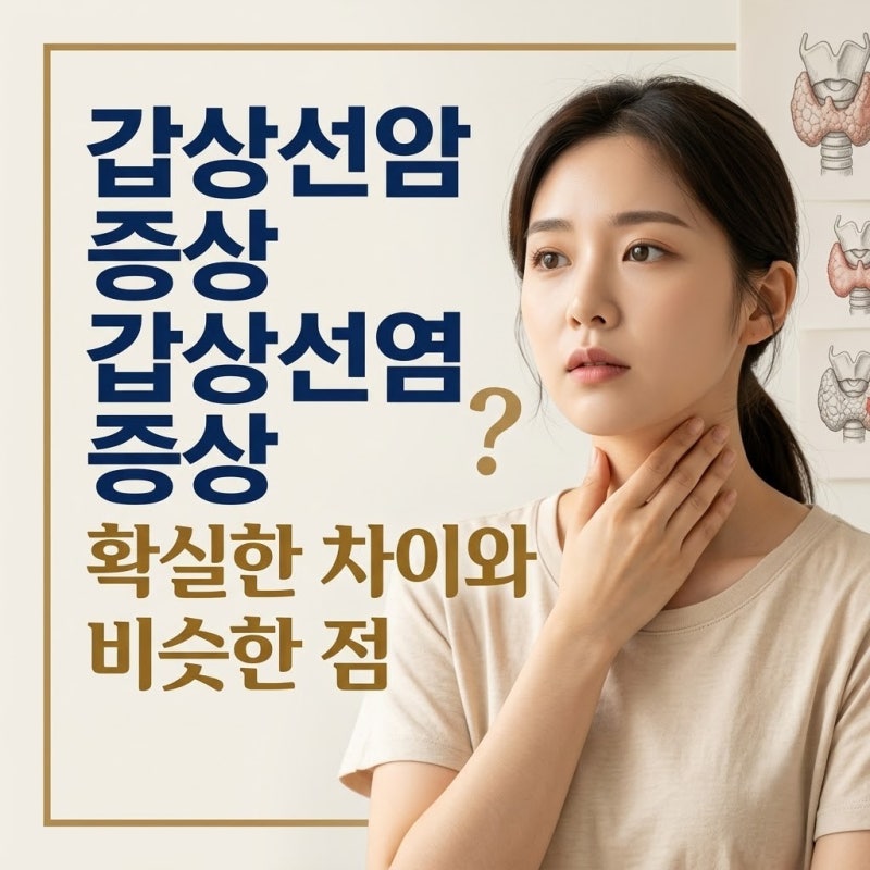 갑상선암증상 · 갑상선염증상 확실한 차이와 비슷한 점