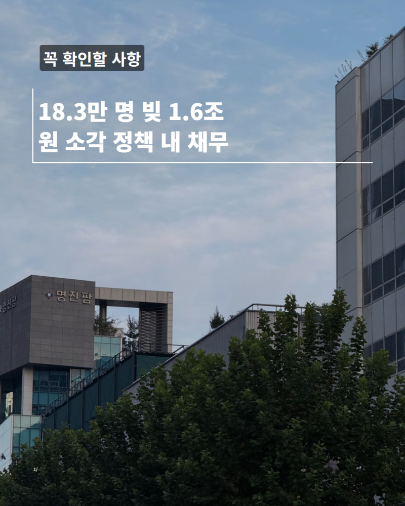 18.3만 명 빚 1.6조 원 소각 정책 내 채무 확인 방법