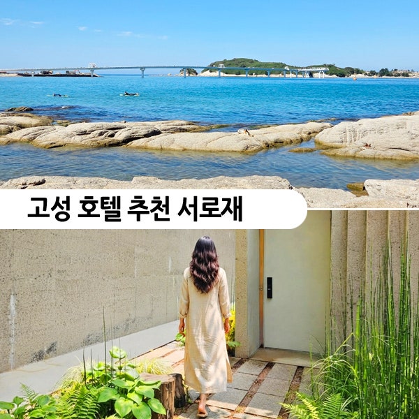 고성 호텔 추천 강원도 독채 펜션 송지호 해수욕장 근처 감성 숙소