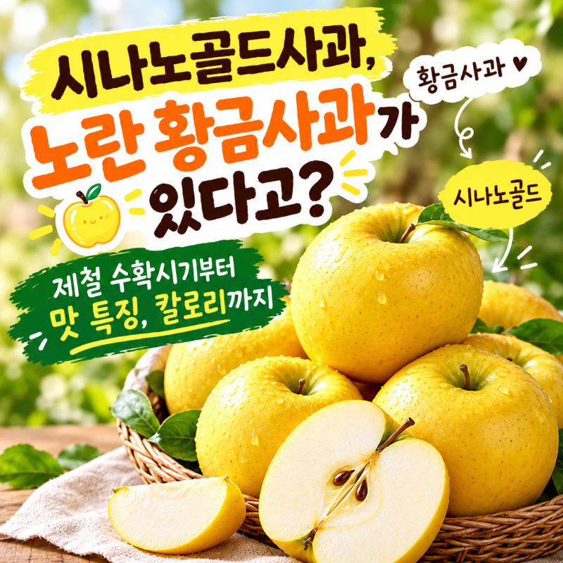 시나노골드사과, 노란 황금사과가 있다고? 제철 수확시기부터 맛 특징, 칼로리까지