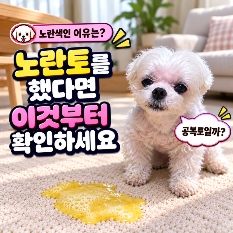 강아지 노란토 공복토일까? 구토 원인과 대처법