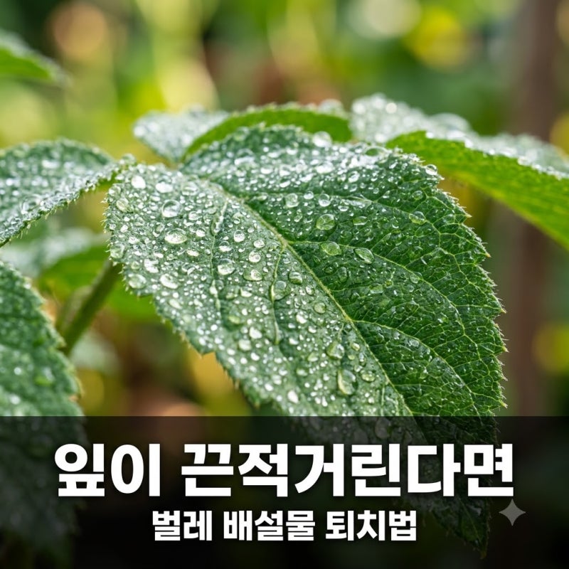 잎이 끈적거린다면 벌레 배설물? 진딧물 깍지벌레 퇴치 가이드