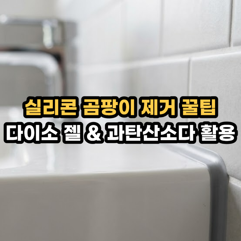 욕실 실리콘 곰팡이 제거 락스 없이 끝내기! 다이소 곰팡이 젤 & 과탄산소다 활용법