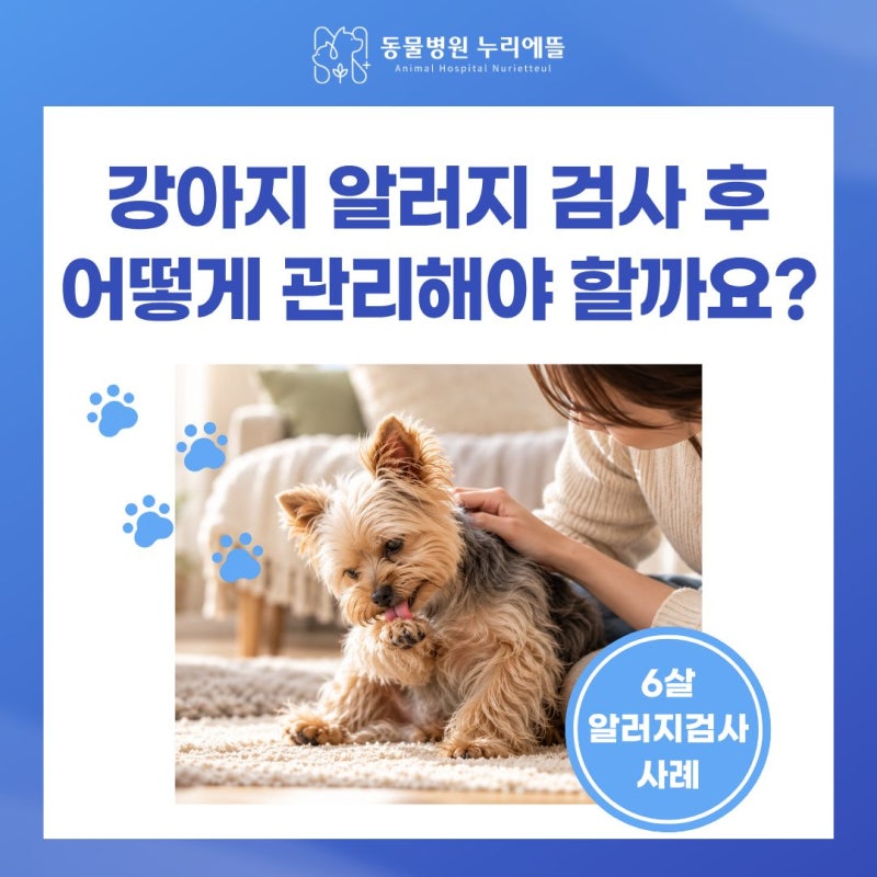 강아지 알러지 검사 결과, 음식부터 집먼지까지 어떻게 관리해야 할까요?