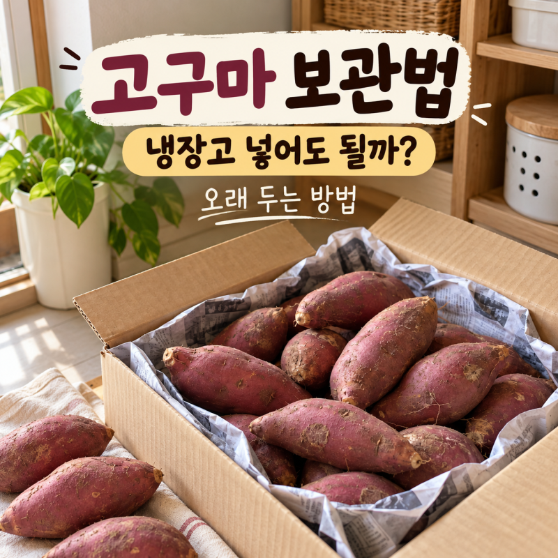 고구마 보관법 냉장고 넣어도 될까? 고구마 오래 두고 먹는 방법
