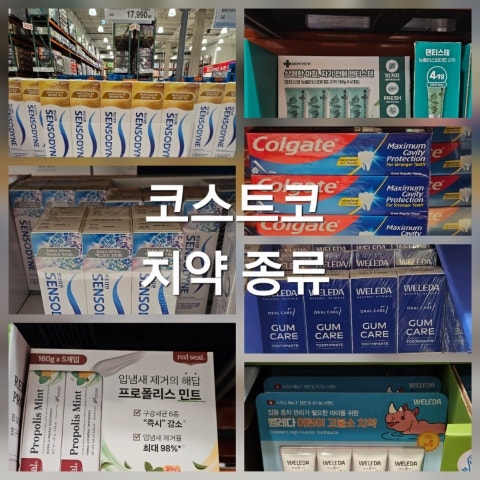 코스트코 치약 종류 가격 센소다인 레드씰 덴티스테 콜게이트 벨레다