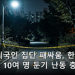 평택 외국인 집단 패싸움, 한밤중 공원서 10여 명 둔기 난동 충격