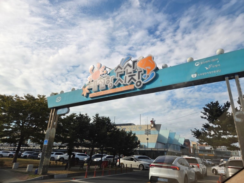 대천항 수산시장 광어,새우,해삼 구매후기 주차장