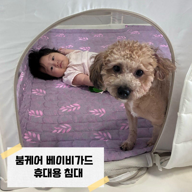 붐케어 베이비가드 후기 | 아기 휴대용 침대 베이비룸 매트사이즈 세탁방법