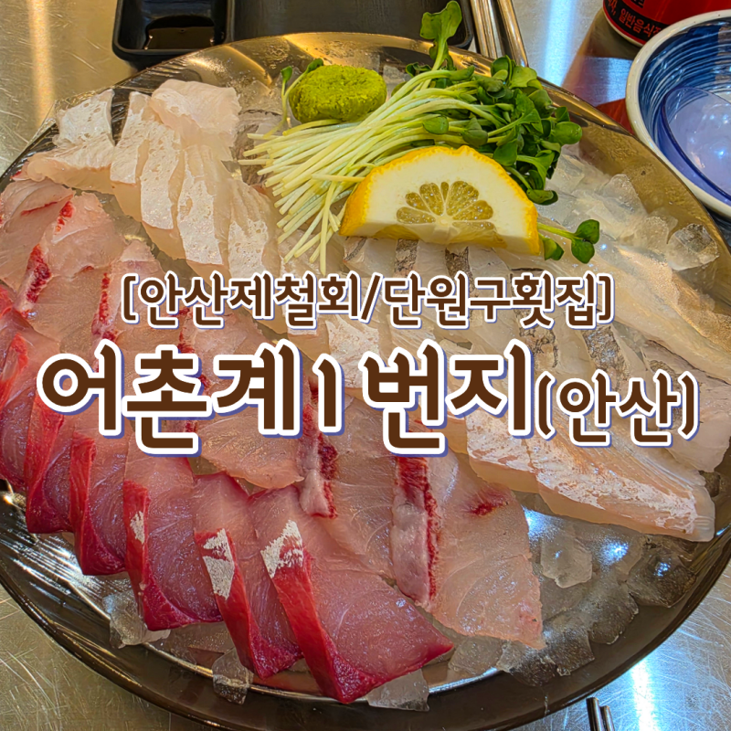 [안산제철회/단원구횟집] "어촌계1번지" 안산 횟집 가성비 좋은 여기!