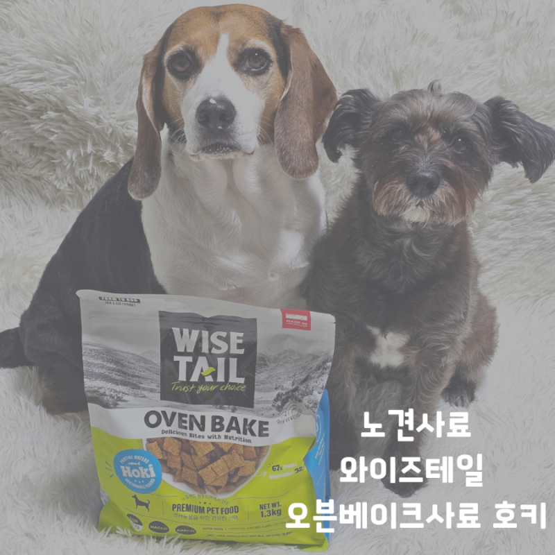 노견사료 찾다가 급여해본 와이즈테일 오븐베이크사료 호키