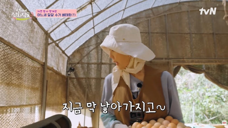 염정아 모자로 눈길 간 화이트샌즈 로베인, 언니네 산지직송3 속 가을모자