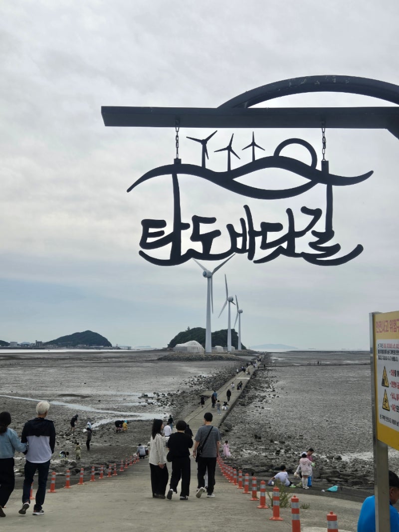 서울근교 당일치기 한국판 모세의 기적 서해 탄도항 누에섬 탄도 바닷길 산책코스와 멋진 일....