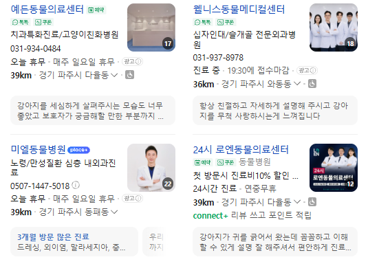 파주동물병원 건강검진 5만원인 줄 알았는데 50만원⁉️ 검사비 폭탄 피하는 방법 공개