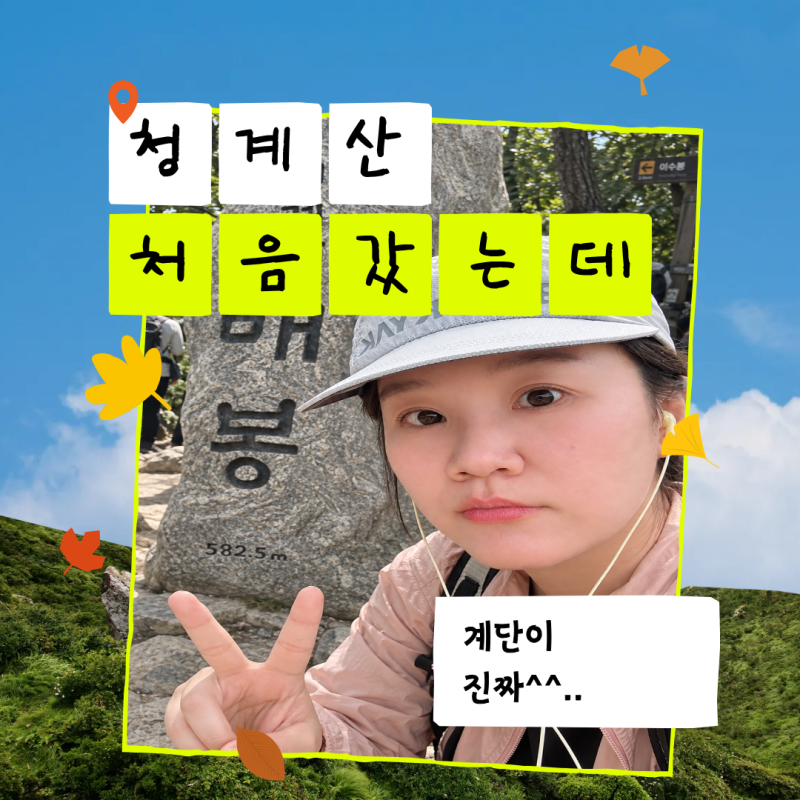 청계산 원터골 매봉 등산코스｜초보도 가능한 3시간 코스 후기