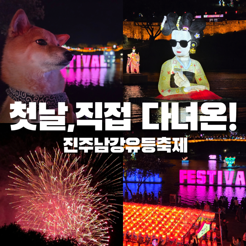 "첫날, 직접 다녀온" 진주 남강 유등축제 후기 일정 애견동반 셔틀버스 진주 가볼만한 곳