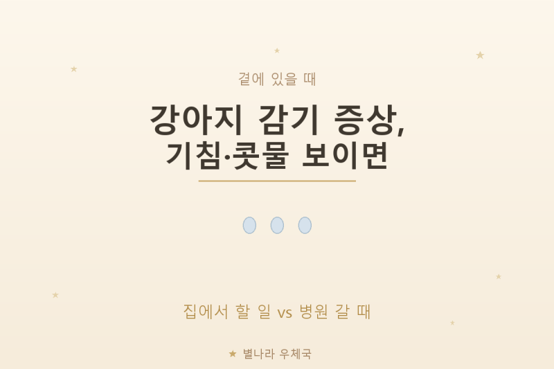 강아지 감기 증상, 기침, 콧물 보일 때 집에서 할 일과 병원 갈 때