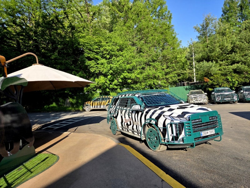 에버랜드 큐패스 안 사면 줄만 90분씩 선다는데, 가격부터 사파리 적용까지 정리해봤습니다