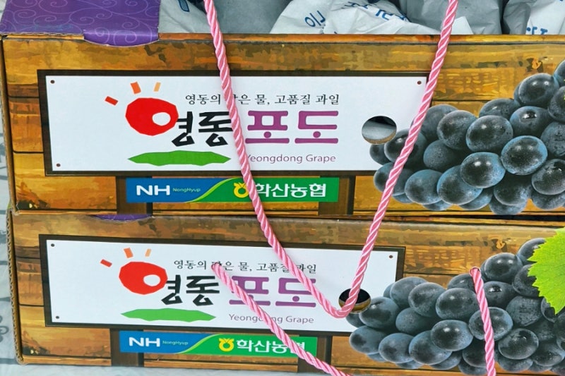 1회 학산 머루포도 축제 (충북 영동군 학산면)