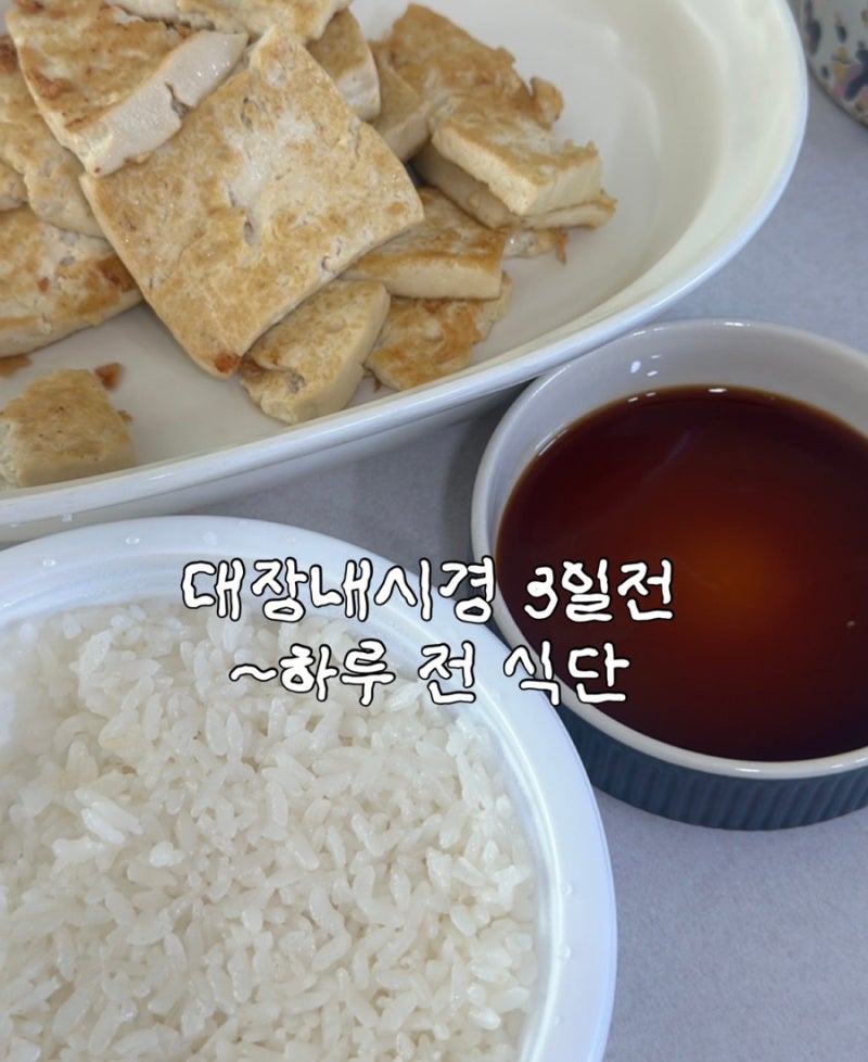 서울중앙메디컬센터 건강검진 대장내시경 전 음식 / 3일 전 ~ 하루 전 식단
